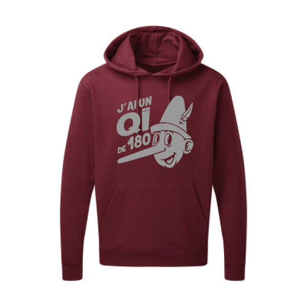 Quotient intellectuel |Sweat  capuche humoristique Gris 