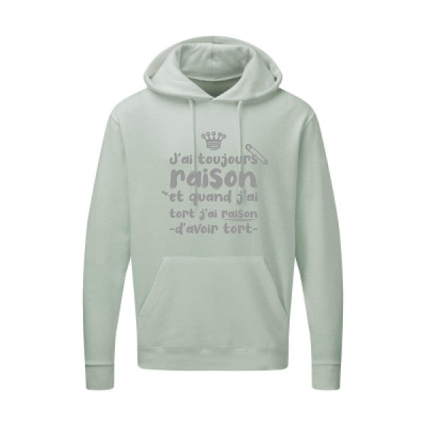 J'ai toujours raison Gris SG - Hooded Sweatshirt Sweat capuche