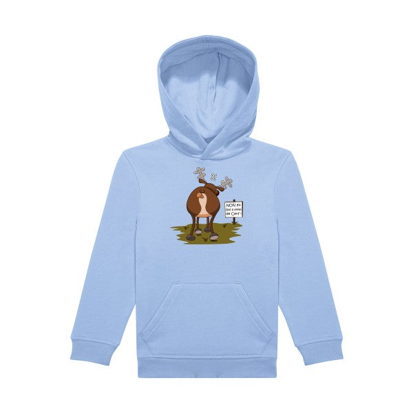 sweat capuche enfant Bleu Ciel Gaz-a-effet-de-cerf