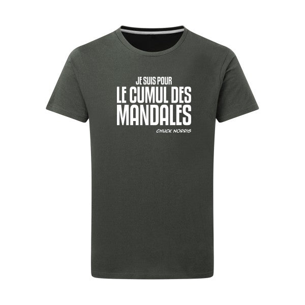 Cumul des Mandales -Flex Blanc sur T-shirt SG  Charcoal  5XL