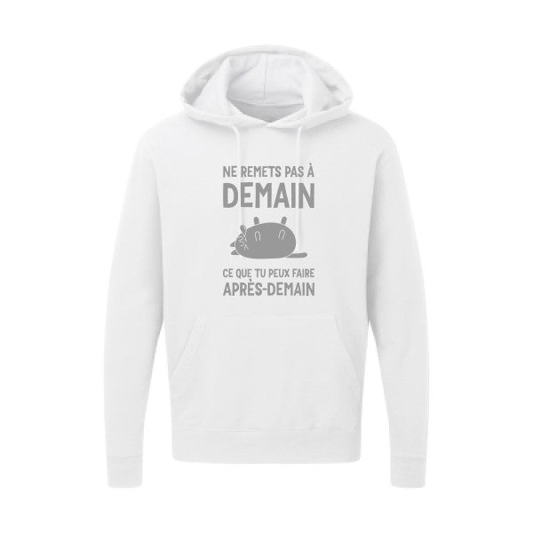 Ne remets pas à demain Gris SG - Hooded Sweatshirt Sweat capuche