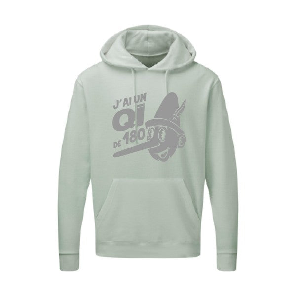 Quotient intellectuel |Sweat  capuche humoristique Gris 