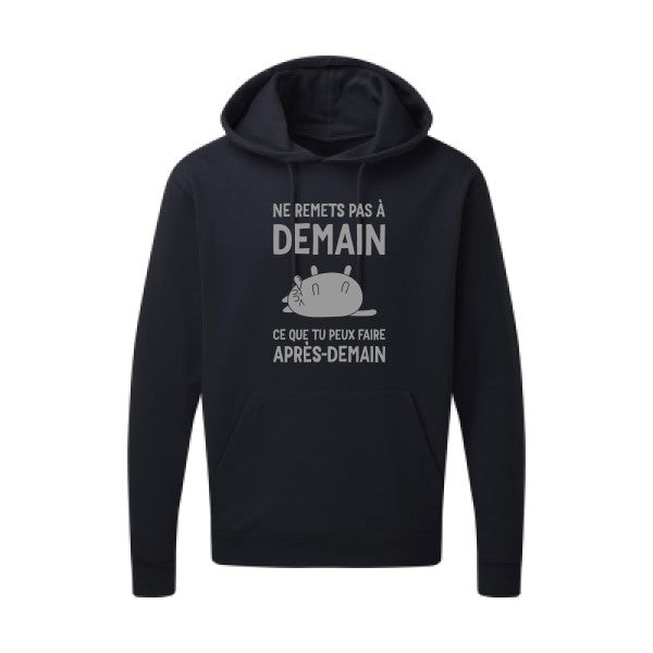 Ne remets pas à demain Gris SG - Hooded Sweatshirt Sweat capuche